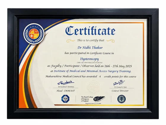 Certificate Course in Hysteroscopy, photograph 2