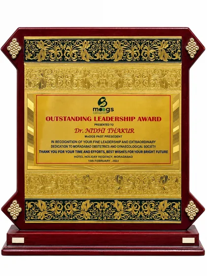 Outstanding Leadership Award, photograph 1