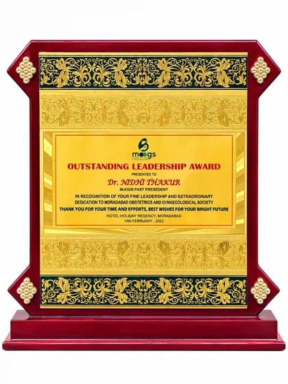 Outstanding Leadership Award, photograph 2