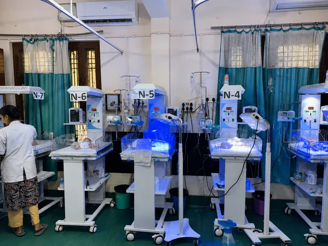 Nicu